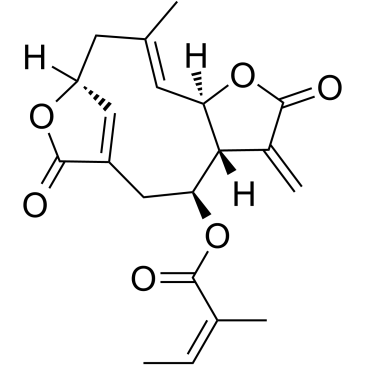 ScabertopinͼƬ