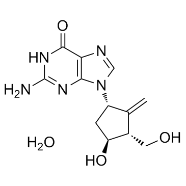 Entecavir monohydrate(BMS200475 monohydrate SQ34676 monohydrate)[CAS 209216-23-9]ͼƬ