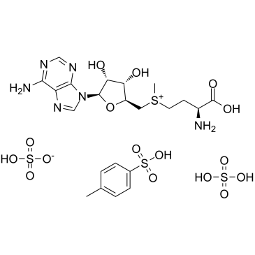 S-Adenosyl-L-methionine disulfate tosylateͼƬ