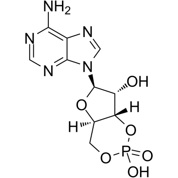 Cyclic AMPͼƬ