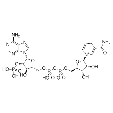 NADP(-NADP,Coenzyme II,NADP,TPN)ͼƬ