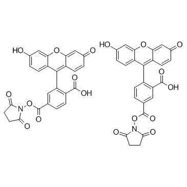 5(6)-FAM SE(5(6)-Carboxyfluorescein N-hydroxysuccinimide ester FLUOS)ͼƬ