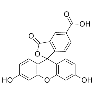 5-FAM(5-Carboxyfluorescein)图片