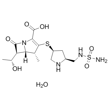 Doripenem monohydrate(S 4661 monohydrate)ͼƬ