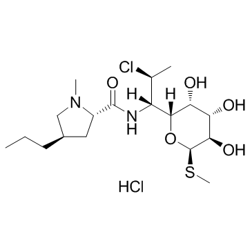 Clindamycin hydrochlorideͼƬ