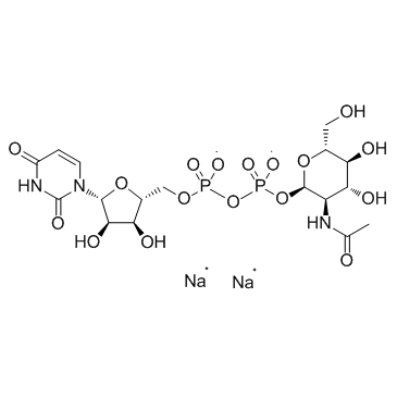 UDP-GlcNAc Disodium Salt(UDP--D-N-Acetylglucosamine Disodium Salt)ͼƬ