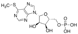 6-Methylthiopurine RibonucleotideͼƬ