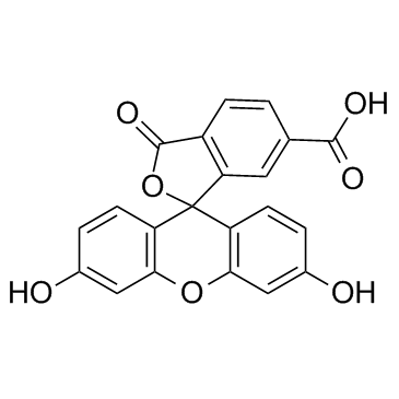 6-FAM(6-Carboxyfluorescein)ͼƬ