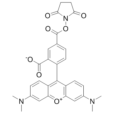 5-TAMRA-SE(5-TAMRA-NHS ester5-Carboxytetramethylrhodamine succinimidyl ester)ͼƬ