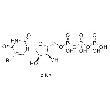 5-BrUTP sodium salt(5-Bromouridine 5'-triphosphate sodium salt)ͼƬ