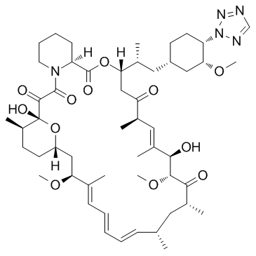 42-(2-Tetrazolyl)rapamycinͼƬ