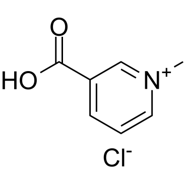 Trigonelline chloride(Trigonelline hydrochloride)ͼƬ