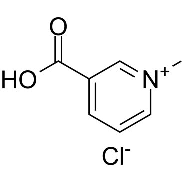 Trigonelline chloride(Trigonelline hydrochloride)图片