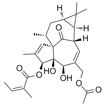 20-O-Acetylingenol-3-angelate(Euphorbia factor Pe1)图片