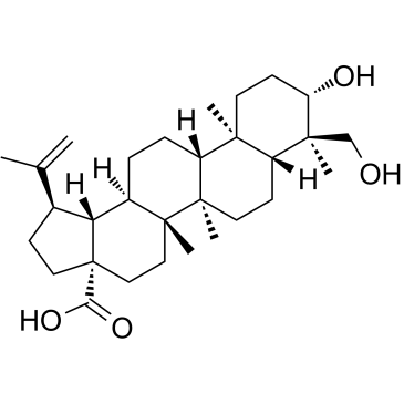 23-Hydroxybetulinic acid(Anemosapogenin)ͼƬ