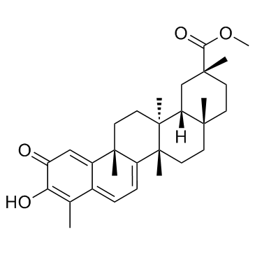 Pristimerin(Celastrol methyl ester)ͼƬ