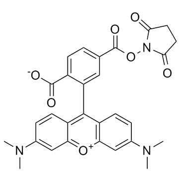 6-TAMRA-SE(6-TAMRA-NHS ester6-Carboxytetramethylrhodamine N-succinimidyl ester)ͼƬ