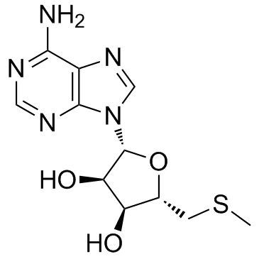 5'-Methylthioadenosine(5'-(Methylthio)-5'-deoxyadenosine5'-S-Methyl-5'-thioadenosine)[CAS2457-80-9]ͼƬ