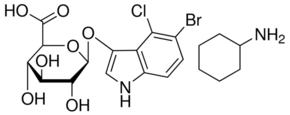 X-GlcAͼƬ