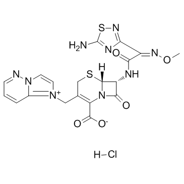 Cefozopran hydrochloride(SCE-2787 hydrochloride)ͼƬ