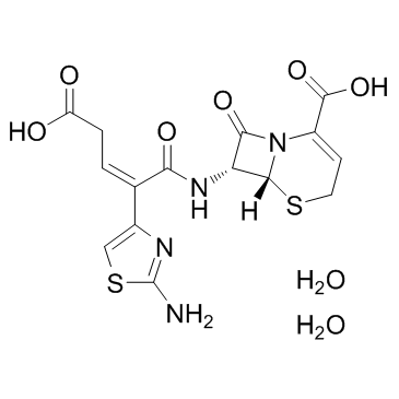 Ceftibuten dihydrate(Sch-39720 dihydrate)ͼƬ