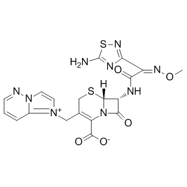 Cefozopran(SCE-2787)ͼƬ