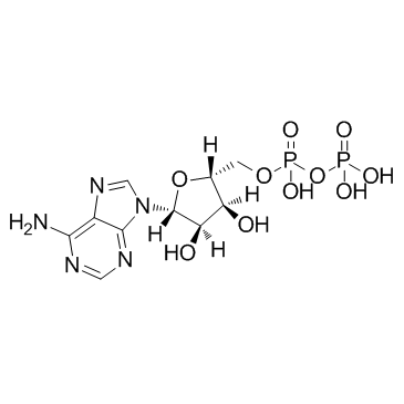 Adenosine 5'-diphosphateͼƬ