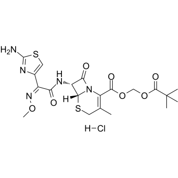 Cefetamet pivoxil hydrochloride(Ro 15-8075)ͼƬ