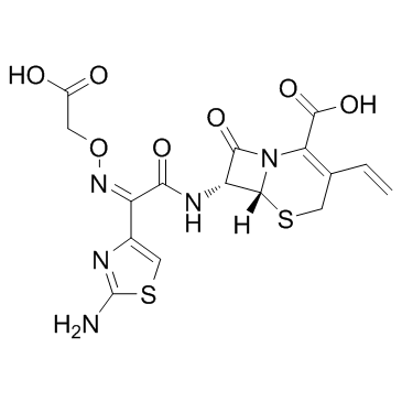 Cefixime(FR-17027FK-027CL-284635)ͼƬ