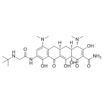 Tigecycline(GAR-936)ͼƬ