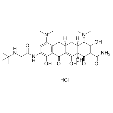 Tigecycline hydrochloride(GAR-936 hydrochloride)ͼƬ