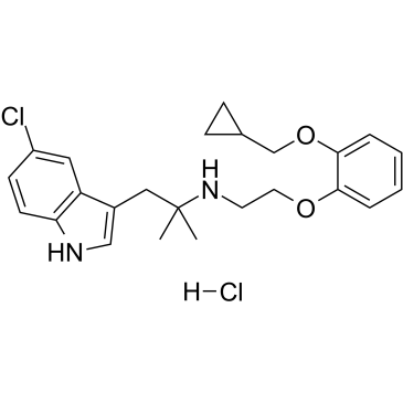 RS 17053 hydrochloride(RS-17053)ͼƬ