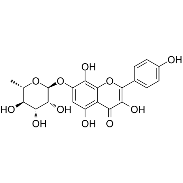 RhodioninͼƬ