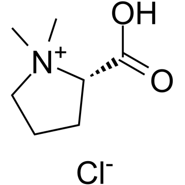 Stachydrine HydrochlorideͼƬ