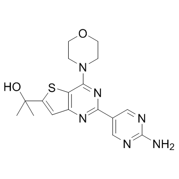 GNE-493ͼƬ