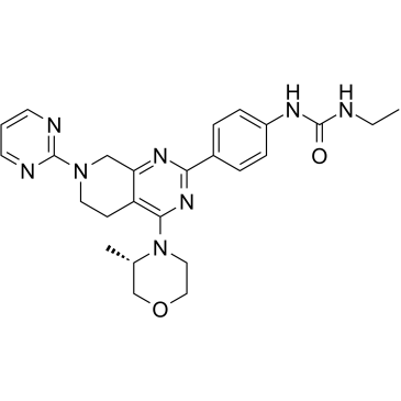 mTOR inhibitor-3ͼƬ