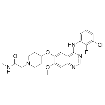 Sapitinib(AZD-8931)ͼƬ