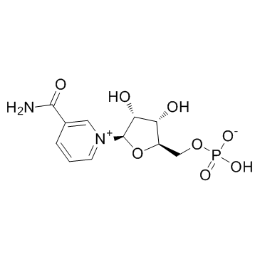 -Nicotinamide mononucleotide(-NM NMN)ͼƬ