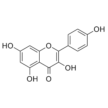 Kaempferol(RobigeninKempferol)ͼƬ