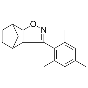 SN 2图片