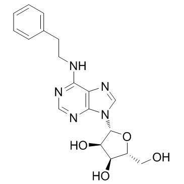 N6-(2-Phenylethyl)adenosine(N6-PhenethyladenosineN6-Phenylethyladenosine)图片