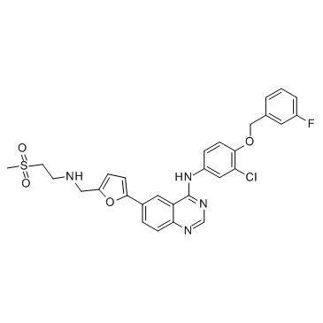 Lapatinib(GW572016)图片