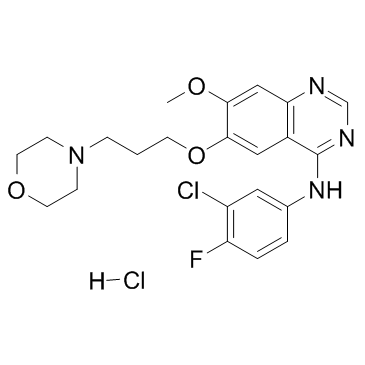 Gefitinib hydrochloride(ZD-1839 hydrochloride)ͼƬ