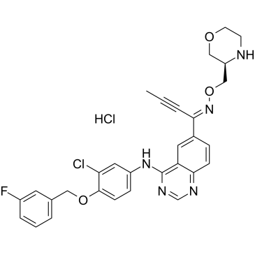 Epertinib hydrochlorideͼƬ