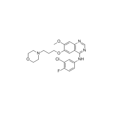 Gefitinib(ZD1839)ͼƬ