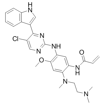 Mutant EGFR inhibitorͼƬ