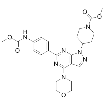 WYE-354图片