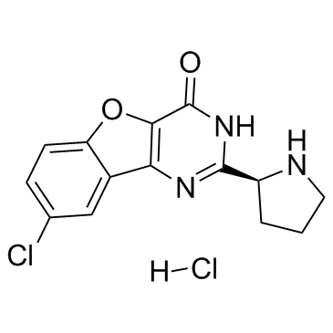 XL413 hydrochlorideͼƬ