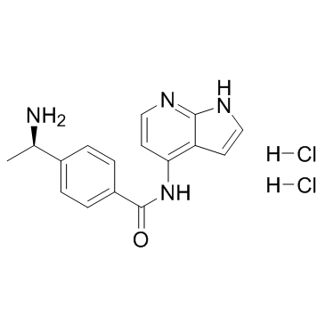 Y-33075 dihydrochlorideͼƬ