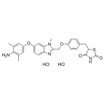 Inolitazone dihydrochloride(EfatutazoneCS-7017RS5444)ͼƬ